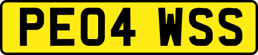 PE04WSS