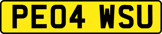 PE04WSU