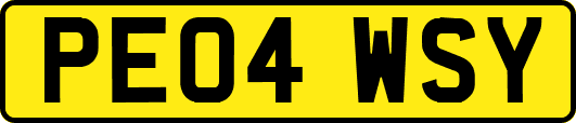 PE04WSY