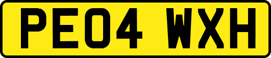PE04WXH