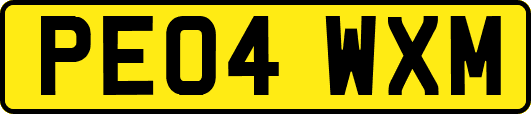 PE04WXM
