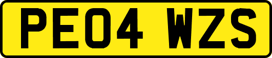 PE04WZS