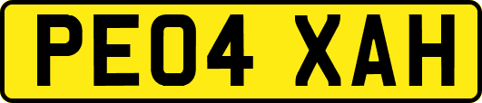 PE04XAH