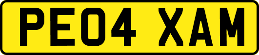 PE04XAM