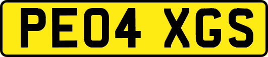 PE04XGS