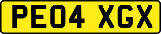 PE04XGX