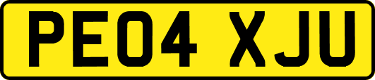 PE04XJU