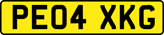 PE04XKG