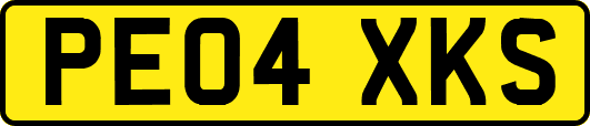 PE04XKS