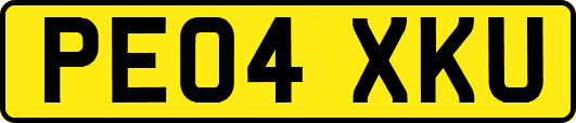 PE04XKU