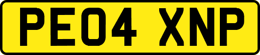 PE04XNP