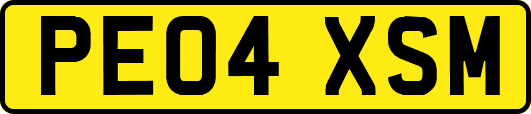 PE04XSM
