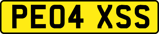 PE04XSS