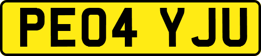 PE04YJU