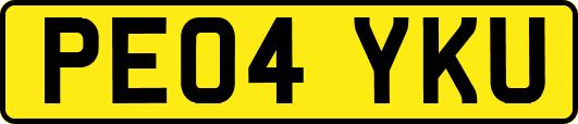 PE04YKU