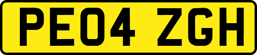 PE04ZGH