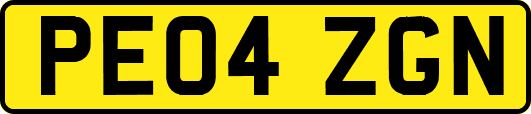 PE04ZGN