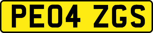 PE04ZGS