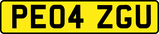 PE04ZGU