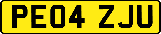 PE04ZJU