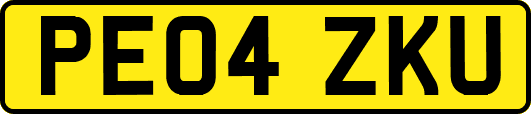 PE04ZKU