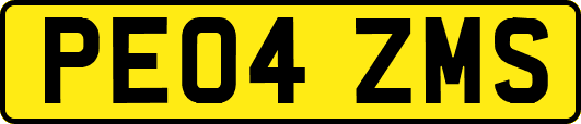 PE04ZMS
