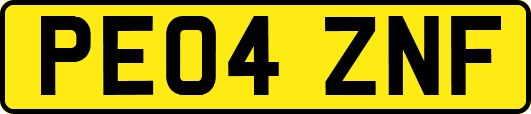 PE04ZNF