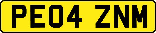 PE04ZNM
