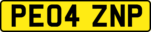 PE04ZNP