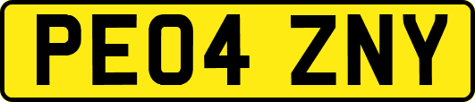 PE04ZNY