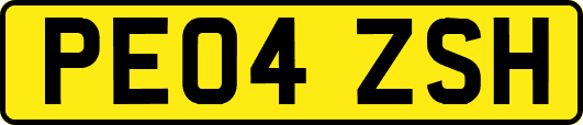 PE04ZSH