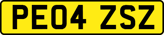 PE04ZSZ