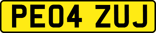 PE04ZUJ