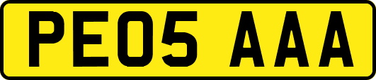 PE05AAA