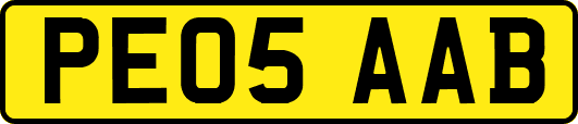 PE05AAB
