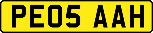 PE05AAH