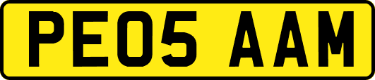 PE05AAM