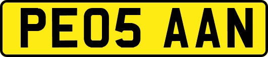 PE05AAN