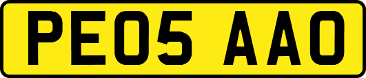 PE05AAO