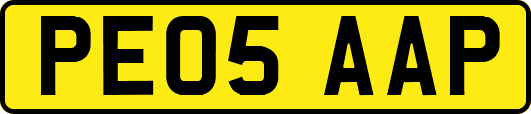 PE05AAP