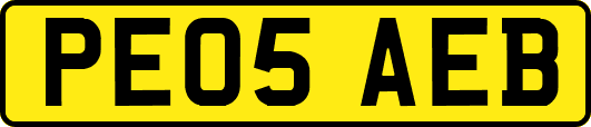 PE05AEB