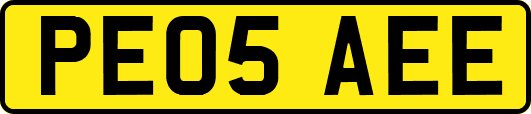 PE05AEE