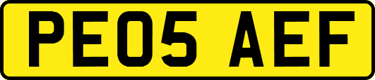 PE05AEF