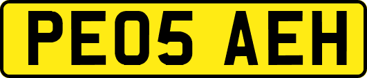 PE05AEH