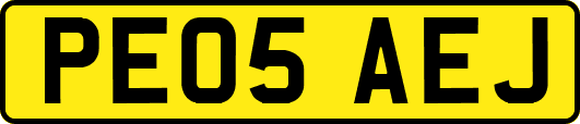PE05AEJ
