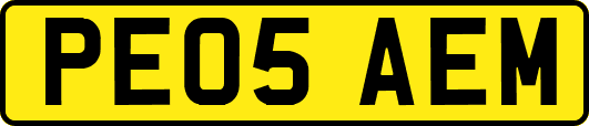 PE05AEM