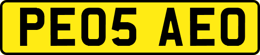 PE05AEO