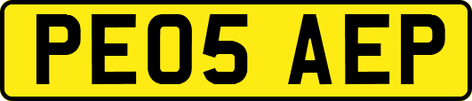 PE05AEP