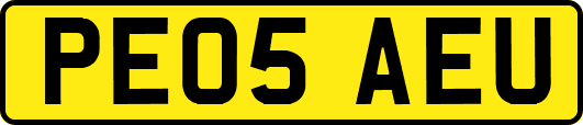 PE05AEU