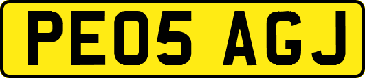 PE05AGJ